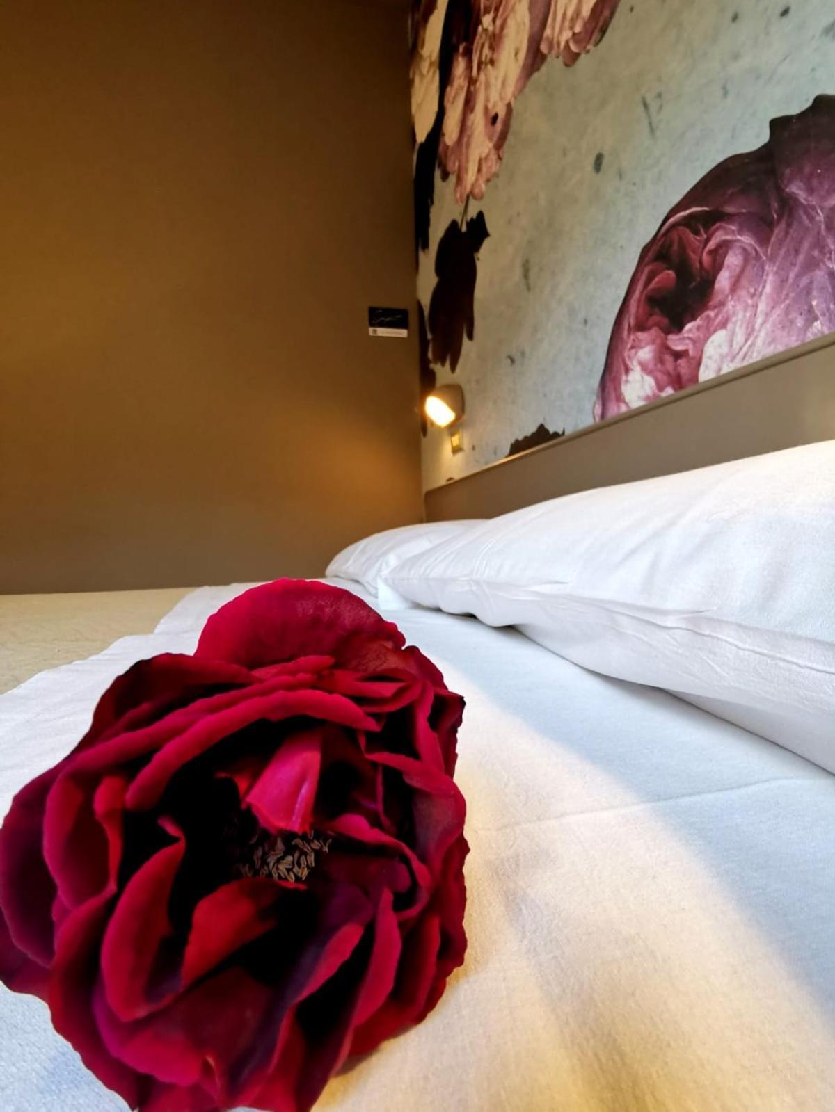Hotel Casa Dorita Cervia Esterno foto